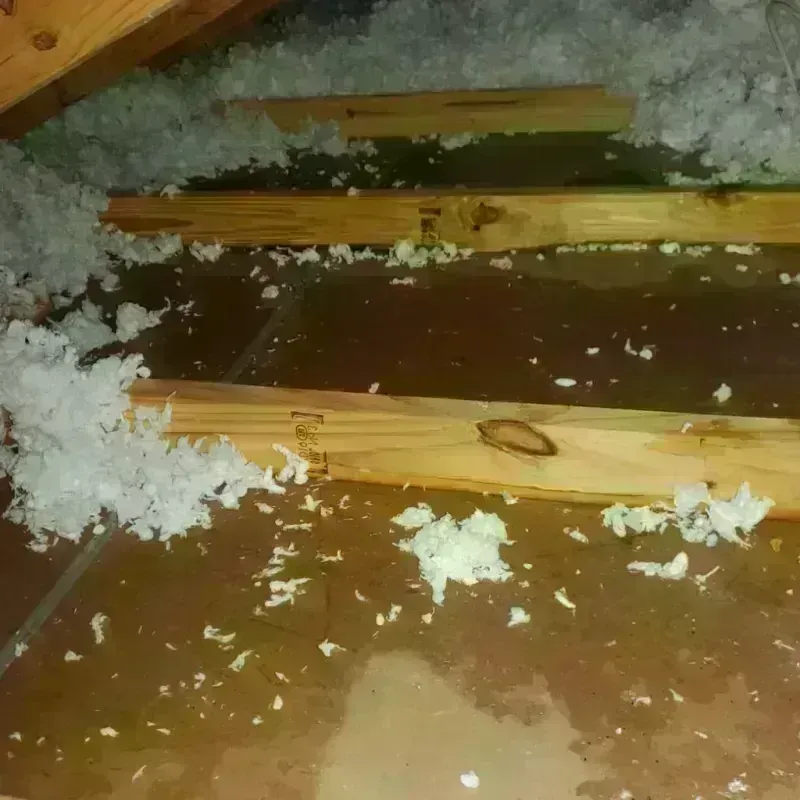 Attic Water Damage in Redgranite, WI